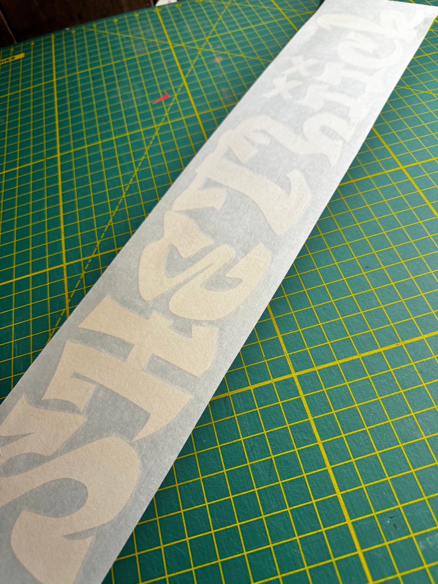 4x22/2x8 SheThiick Stickers